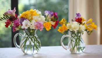 Top 10 types of flowers that stand in the vase for the longest time!