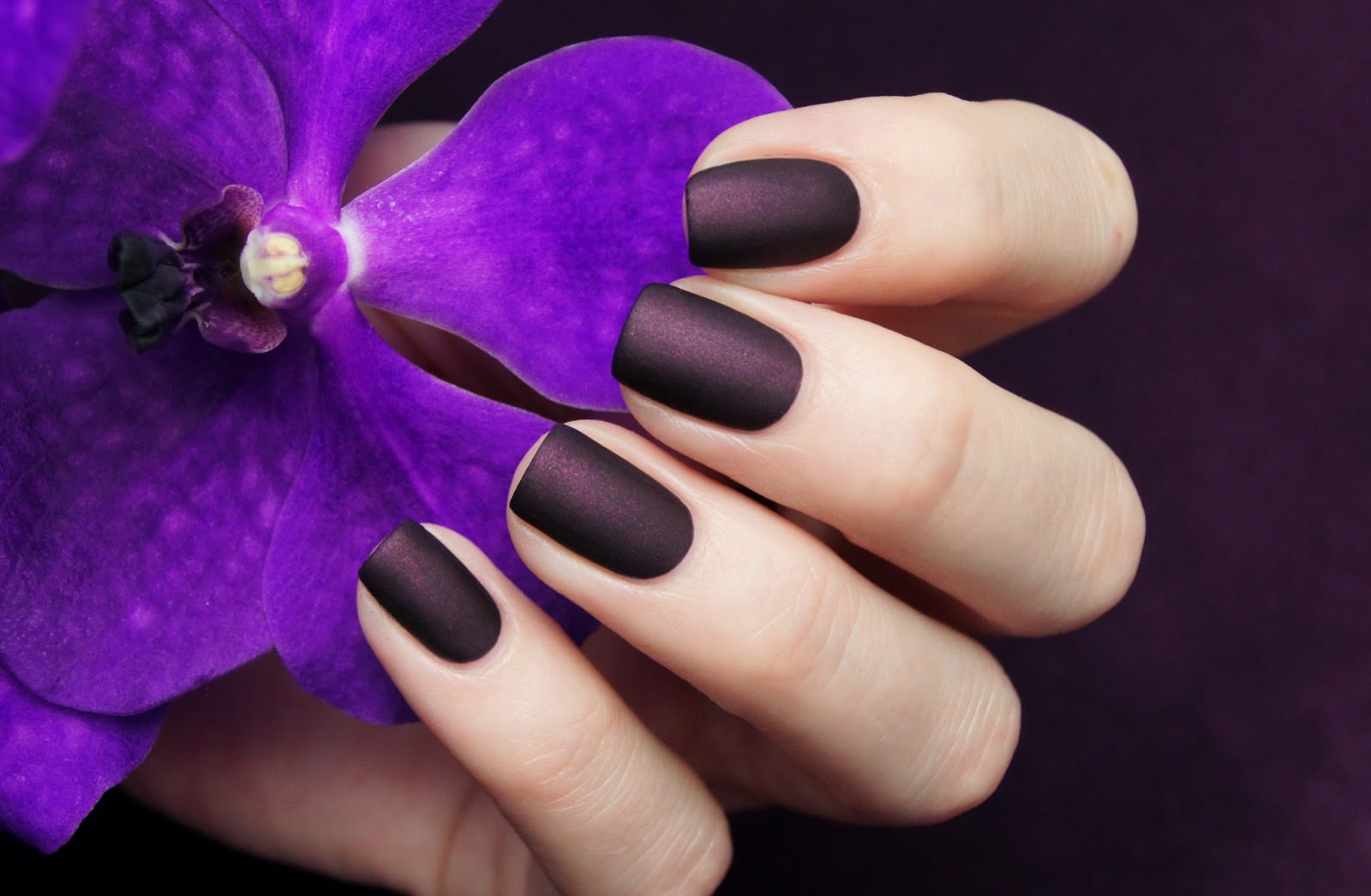 Matte manicure: fashion trends, ideas, news (57 photos)