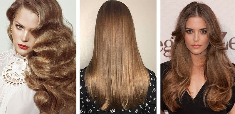 Walnut hair color (49 photos)